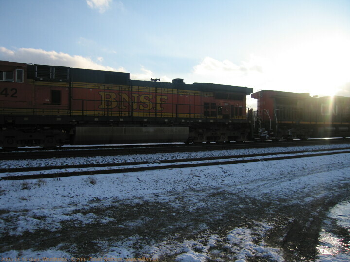 2005-01-15.0566.Woodstock.jpg