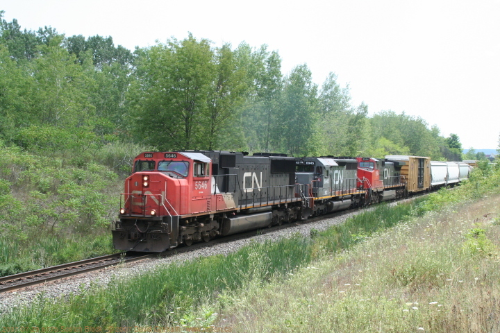 2007-07-29.6775.Scotch_Block.jpg