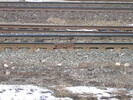 2004-03-22.8735.Guelph_Junction.jpg